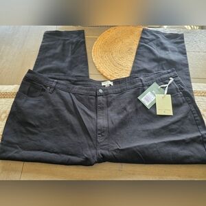 NILI LOTAN Womens Plus Black Jeans